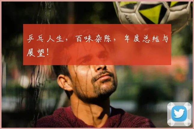 乒乓人生，百味杂陈，年度总结与展望！