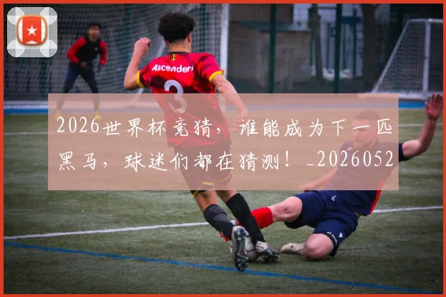 2026世界杯竞猜,谁能成为下一匹黑马,球迷们都在猜测!_20260529145429