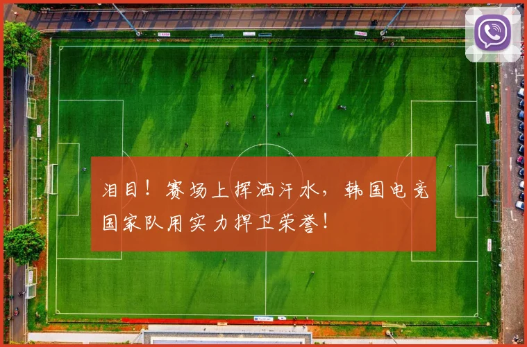 泪目！赛场上挥洒汗水，韩国电竞国家队用实力捍卫荣誉！